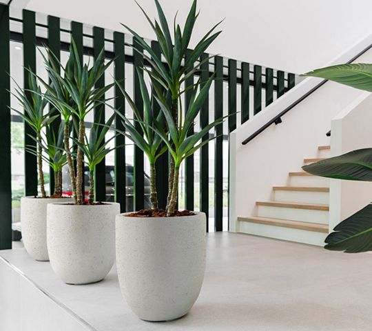 Beplanting 1